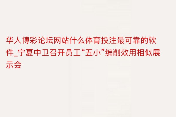 华人博彩论坛网站什么体育投注最可靠的软件_宁夏中卫召开员工“五小”编削效用相似展示会